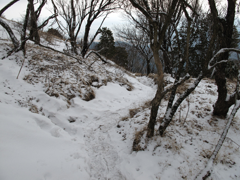 20160204hike (259)